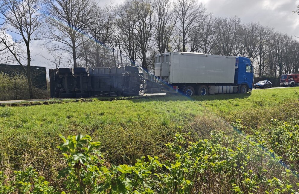 WhatsApp Image 2026-03-30 at 11.54.25.jpeg