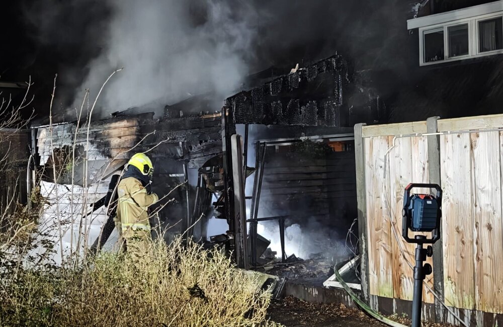 WhatsApp Image 2026-03-04 at 23.41.47 (1).jpeg