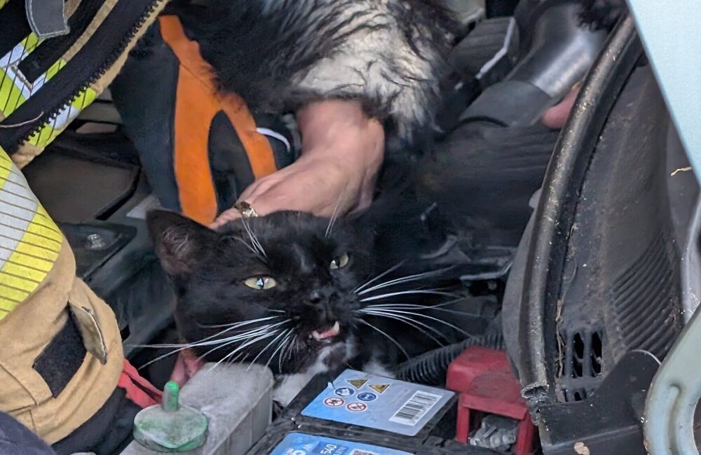 WhatsApp Image 2026-02-27 at 16.38.57.jpeg