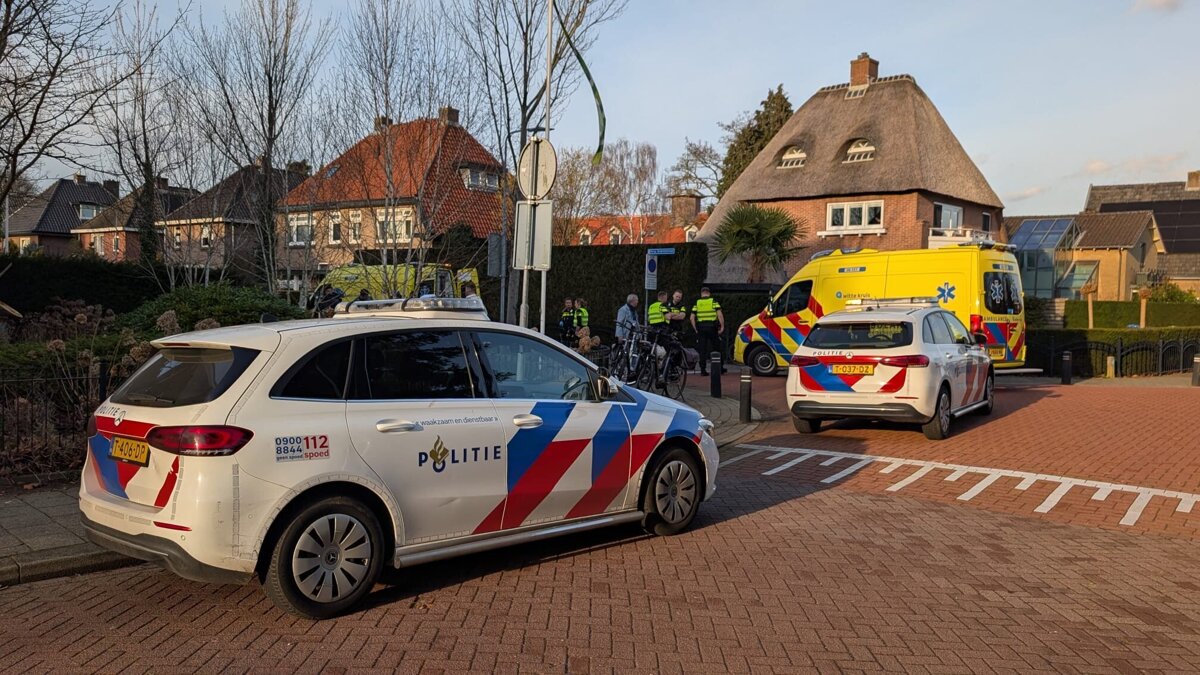 WhatsApp Image 2026-02-27 at 09.08.48.jpeg