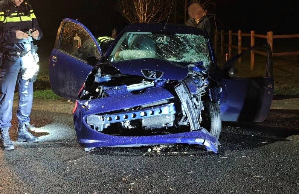 1774819860_photo_2026-03-29_23-06-05 (4).jpg