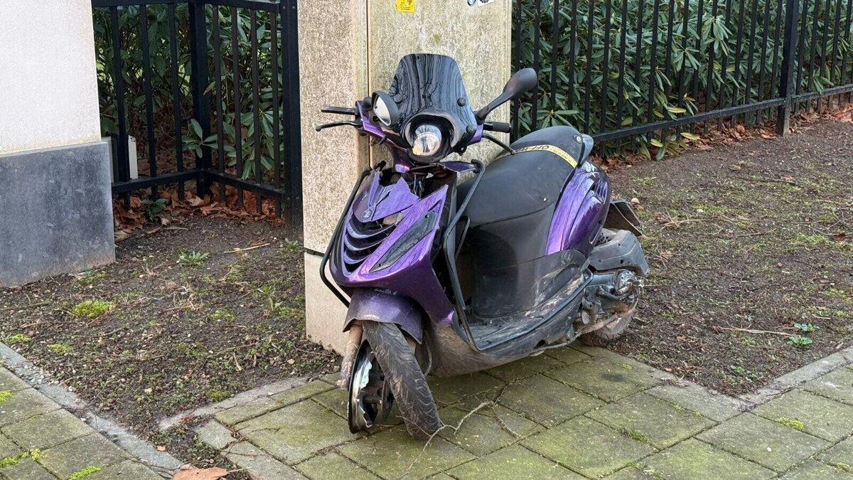 WhatsApp Image 2026-02-26 at 11.46.19.jpeg