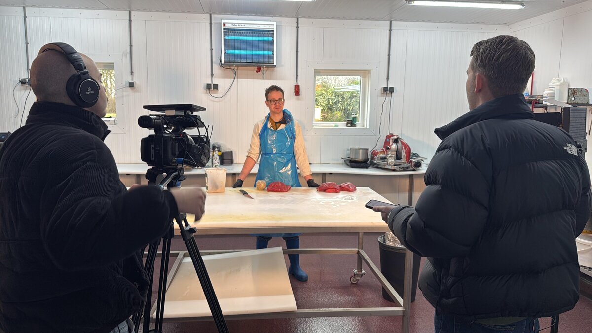 WhatsApp Image 2025-11-27 at 14.17.12.jpeg